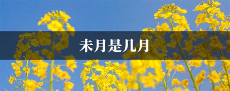 丁月是幾月|【丁月是幾月】丁未月是幾月 